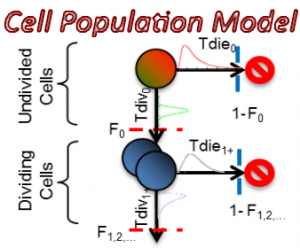 CellPopulationModel