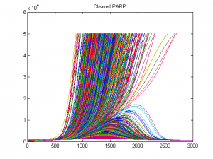 cPARPCurves